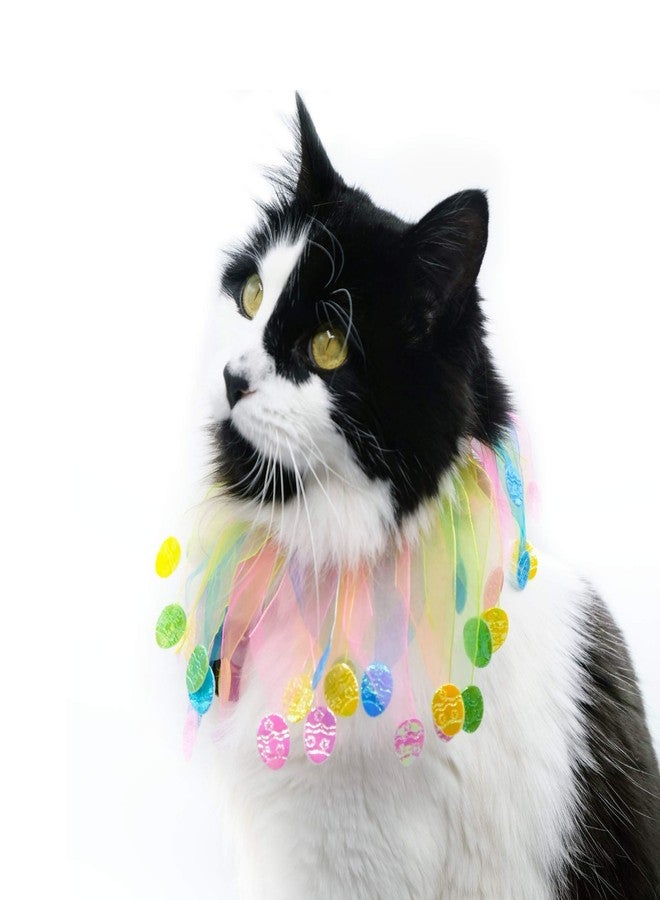 Midlee Easter Egg Decorative Dog Collar (Small) - Image 4